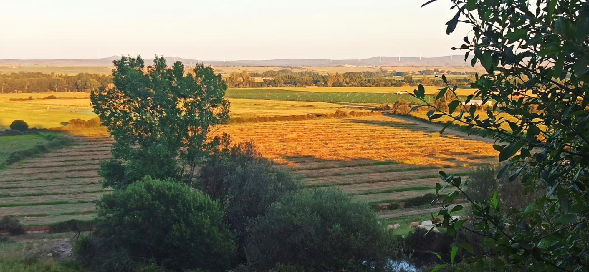Casa Rural Finca San Bernardo 3 Estrellas Montehermoso 外观 照片
